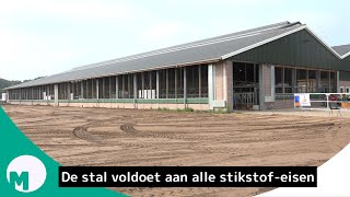 Toekomstbestendige koeienstal in Keldonk I Omroep Meierij [upl. by Galitea]