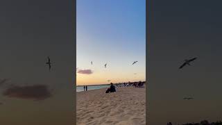 Sunset at Mordialloc Beach 🌅 goldenhour sunset beach [upl. by Auerbach]