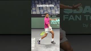 ATP 6 Felix AugerAliassime modern forehand 테니스 tennis 테니스레슨 정진화테니스레슨 테니스포핸드 tennisforehand [upl. by Hermia295]