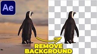 REMOVE BACKGROUND from VIDEO in After Effects  Rotobrush Tutorial [upl. by Cadmar339]