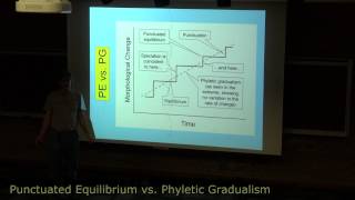 Punctuated Equilibrium vs Phyletic Gradualism long version [upl. by Aziar132]