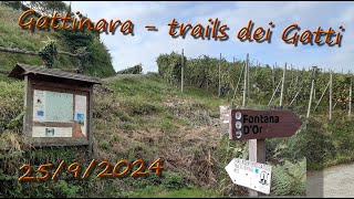 MTB  Gattinara e Rive Rosse sui trails dei Gatti [upl. by Aiam]