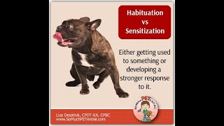 Habituation vs sensitization [upl. by Akino765]