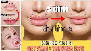 How To Perfectly Line Different Lip Shapes  Lip Liner Tutorial for Beginners  Nykaa Beauty Basics [upl. by Lenahs]