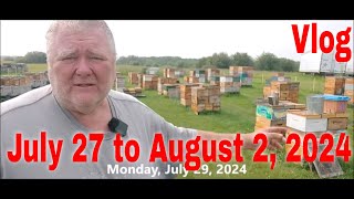 ⏱ Vlog July 27 to August 2That Bee Man [upl. by Chae]