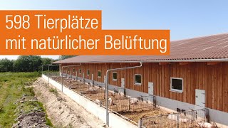 Maststall mit Auslauf für Schweine in Biohaltung  Im Emsland [upl. by Karolina]