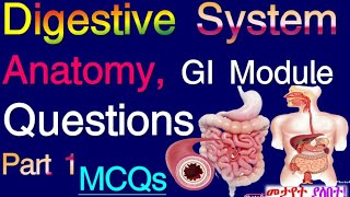 Digestive System Module Questions Digestive System Anatomy GI Module MCQS Part 1 [upl. by Rockwood342]