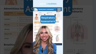 🌬️ Adventitious Lung Sounds Explained NursingSkills RespiratoryCare nclex [upl. by Onifled380]