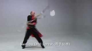 Master Yanqing Ding demonstrating 26 Movement Pudao [upl. by Blackmore]