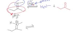 Imine Hydrolysis [upl. by Salena700]