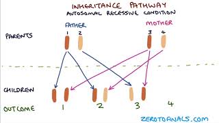 Understanding Autosomal Dominant and Autosomal Recessive Inheritance [upl. by Sherilyn]