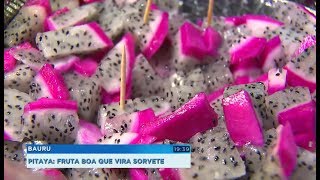 Conheça a pitaya fruta exótica que traz benefícios à saúde [upl. by Lemuelah]