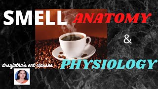 079Anatomy amp Physiology of SmellOlfaction Part 12 anatomylectures physiology [upl. by Yekim]