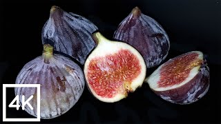 Fig attacked by maggots Time Lapse  4K [upl. by Ysnap560]