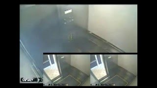 Elisa Lam Elevator Surveillance Video 03  The White Column [upl. by Cyrill877]