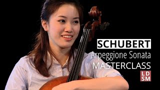 Schubert Arpeggione Sonata  LDSM 2012 Cello Masterclass with Robert Cohen [upl. by Alodi]