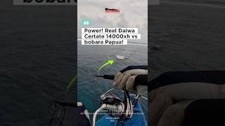 Power Reel Daiwa Certate 14000 XH Versus Bobara Papua 2024 Shorts [upl. by Nosreffej]