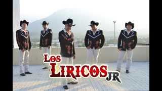 💃CUMBIAS MIX PERRONAS CON VIOLÍN 🎻LOS LIRICOS JR [upl. by Icul]