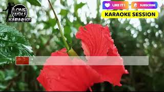 IKAW PALA  ROSELLE NAVA ♫ KARAOKE VERSION ♫ [upl. by Aiekam257]