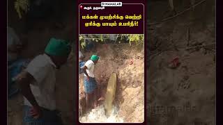 மக்கள் முயற்சிக்கு வெற்றி ஏரிக்கு பாயும் உபரிநீர் water [upl. by Stenger]