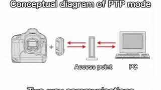 Canon EOS  Wireless File Transmitter PTP Mode [upl. by Jarrell439]