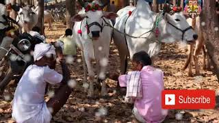 ಶ್ಯಾಣೇ ಶ್ಯಾಣರು ಕೂಡಿ ಸಂತಿಯ ಮಾಡ್ಯಾರ್  Kalaburagi Sharanabasaveshwar  Bhakti Bhajana song [upl. by Bodi]