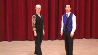 Silver Viennese Waltz  Rise and Fall Ballroom Dance Lesson [upl. by Volding]