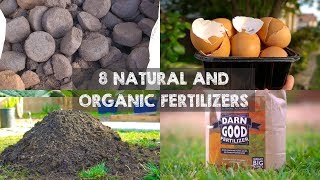 8 Natural and Organic Fertilizers to Grow Big Plants [upl. by Araeit396]