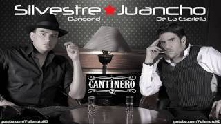 Silvestre Dangond  Has Cambiado Mi Vida Cantinero  Vallenato 2010 [upl. by Heffron]