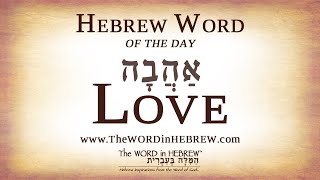 Love in Hebrew  Hebrew Word of the Day [upl. by Urban]