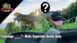 A NEW face to the Channel  Molix Supernato Beetle Baby [upl. by Puduns176]