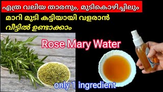 വില കൂടിയ Rose Mary Water കുറഞ്ഞ ചിലവിൽ വീട്ടിൽ ഉണ്ടാക്കാം  Rose Mary Water JAS CREATED by jasmi [upl. by Ahtnamas]