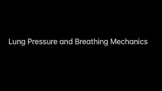 Lung Pressures and Breathing Mechanics [upl. by Lytsirhc]