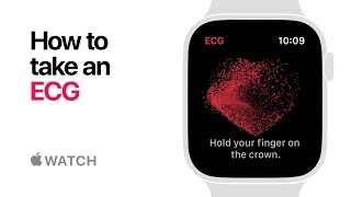 Apple Watch Series 4 — How to take an ECG — Apple [upl. by Durgy530]