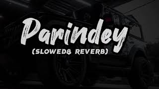 Parindey Yaar Slowed Reverb song Haryanvi Lofi song slowed [upl. by Ahsi]