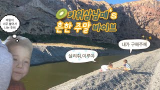 뉴질랜드육아🥝키위삼남매의 어느 흔한 주말 사람들이 잘모르는근교버들링즈플랫birdling’sflat [upl. by Alien]