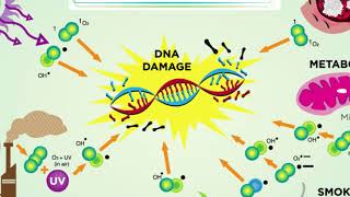 Danger Of Hexavalent Chromium CHM131009 [upl. by Hersh]