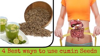 How to grow cumin from seeds grow zeera [upl. by Yort]