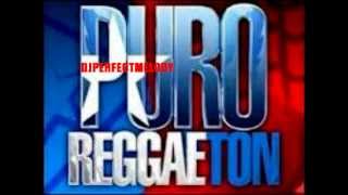 REGGAETON MIX LO MAS NUEVO 2012 [upl. by Jackson]