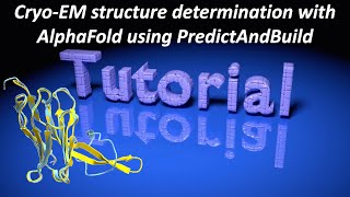 CryoEM structure determination with AlphaFold using PredictAndBuild [upl. by Latona]