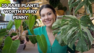 10 Rare Plants WORTH Every Penny  Uncommon Houseplants That You Will Love [upl. by Asen]