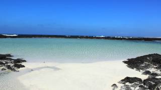 Le lagune del Cotillo  Spiagge bianche a Fuerteventura [upl. by Squier43]