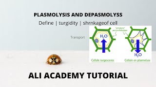 Plasmolysis And Deplasmolysis  Class 11 Biology [upl. by Anuayek]