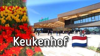 Virtuele wandeling door de Keukenhof  2022  Lisse  Nederland 🇳🇱 [upl. by Dela699]