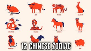 The 12 Chinese Zodiac Signs amp What They Mean for Your Personality And The Year Ahead  Ziggy Natural [upl. by Hindu]