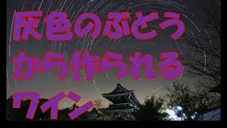 【ワイン】灰色のぶどうから作られるワイン【ワインをもっと身近に】 [upl. by Eednahs]