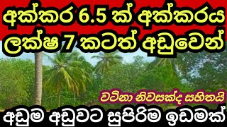 සරුසාර අක්කරයක් ලක්ෂ 7 කටත් අඩුවෙන්  Pol idam  Coconut land  Aduwata idam  Land for sale  Idam [upl. by Glenine]