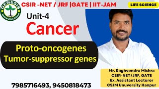 Oncogene  Tumor Suppressor Genes  cancercritical genes  Cellular communication  L14 [upl. by Mahtal174]