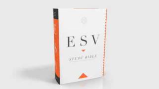 The ESV Study Bible A Look Inside [upl. by Chill]