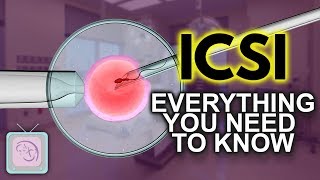 IVF ICSI Procedure  Important things you need to know [upl. by Rolanda362]